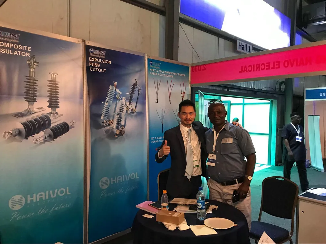 (GN24-12D) Indoor AC High Voltage Disconnect Switch