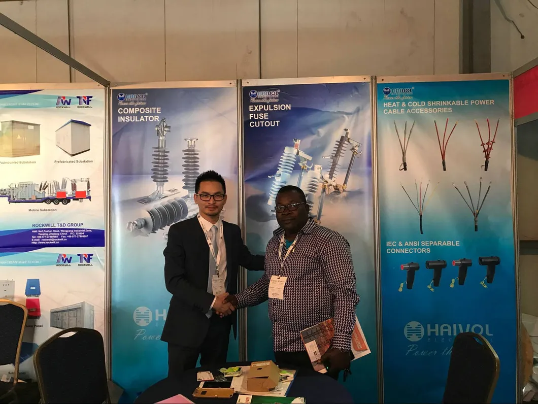 (GN24-12D) Indoor AC High Voltage Disconnect Switch