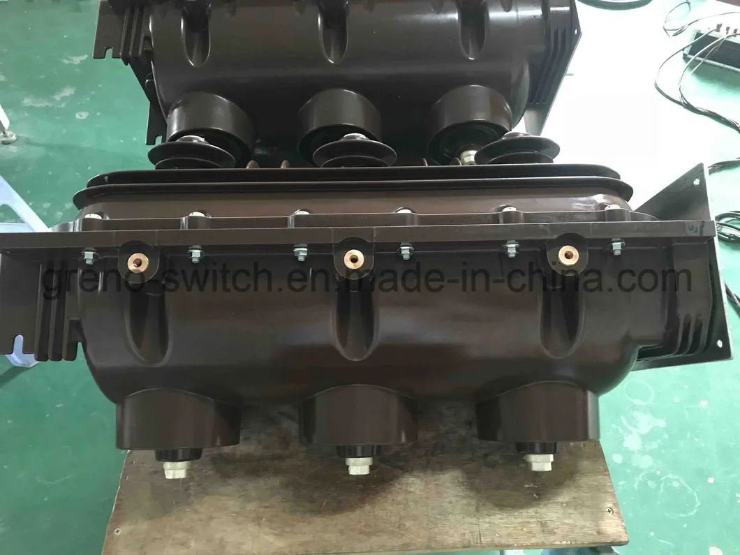 12kv Sf6 Incoming Load Break Switch with Motorized Mechanism