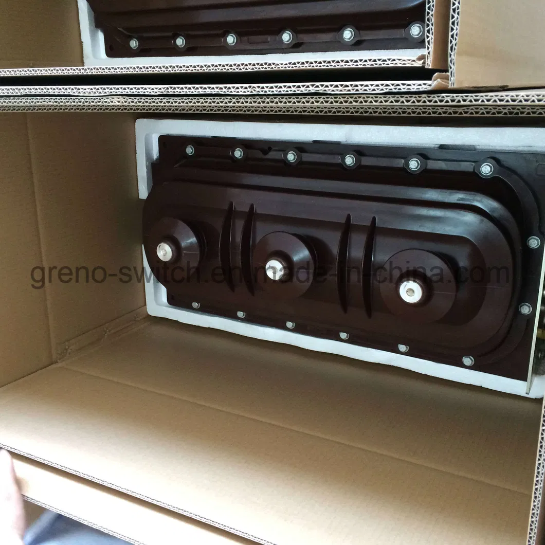 12kv Sf6 Incoming Load Break Switch with Motorized Mechanism