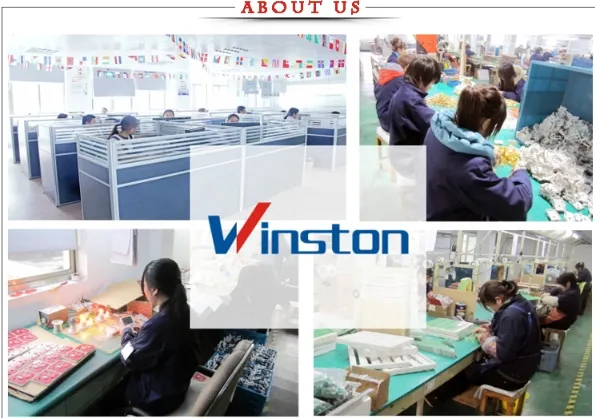 2020 Hot Winston Floatless Level Switch with CE