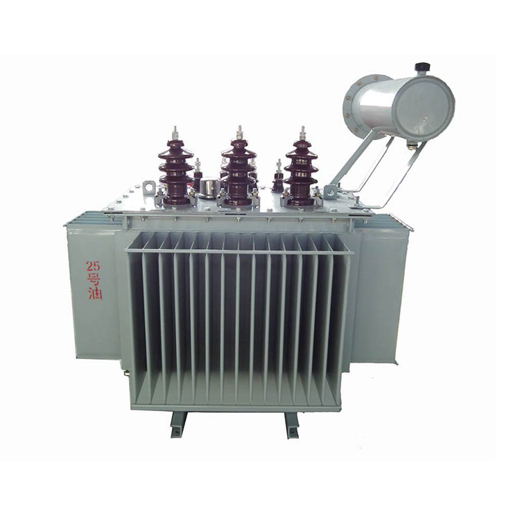 Which Distribution Transformer Helps Me Keep Power Projects Stable Without Overspending?