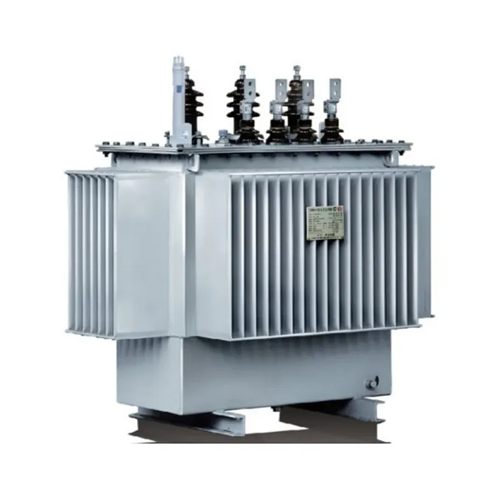 What Protection Standards Apply to Oil Immersed Transformer for Extreme Weather Installations?