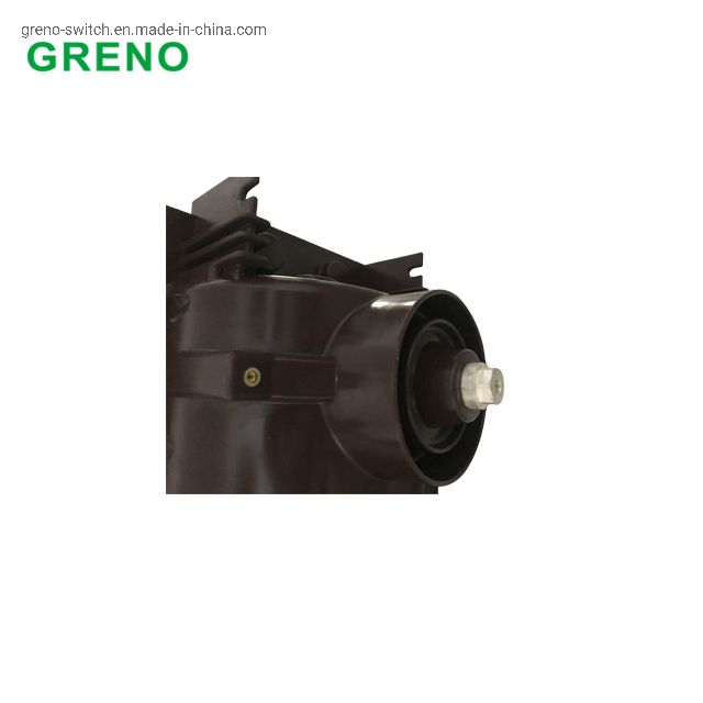 24kv Sf6 Load Break Switch with Motorized Mechanism