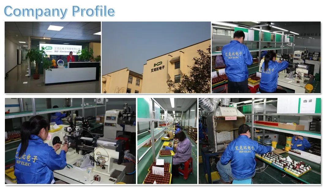 Customized Design Er2614 High Frequency Transformer with Magnetic Shield Construction