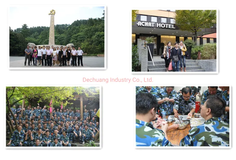 DC/DC Module Power Magnetics PCB Control High Frequency Switch Mode Power Er-30-300W Planar Transformers