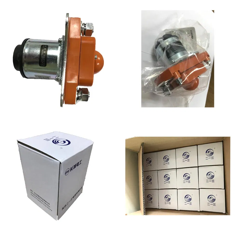 Electrical Double Coil 600A 24V 48V 60V 72V 84V 96V DC Contactor