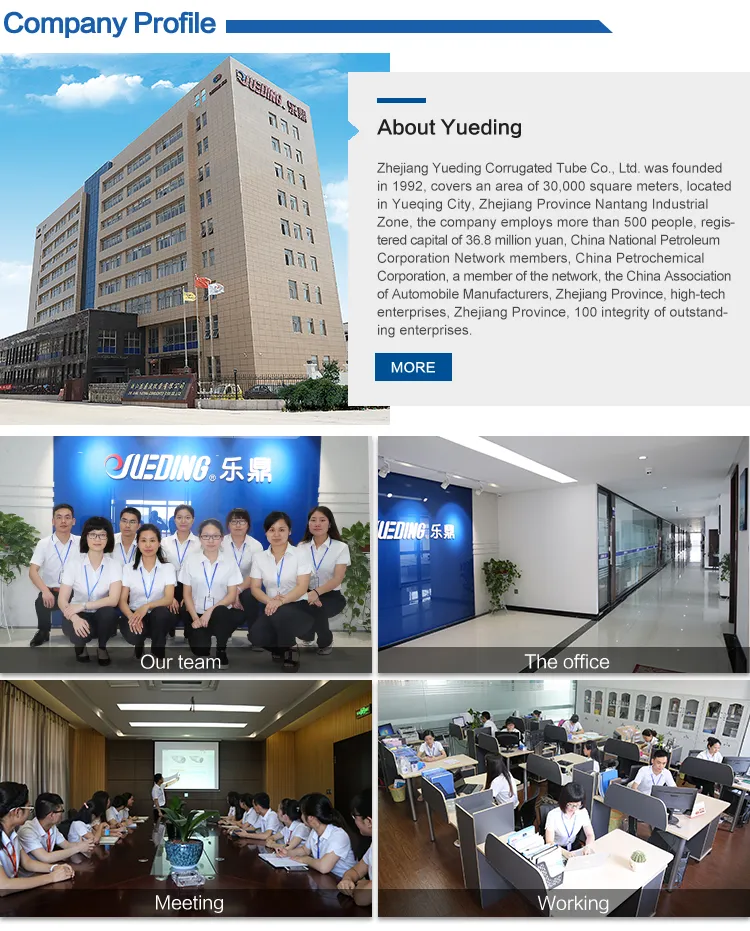 Gw Brand Electric Load Capacity 1A/1b Relay Latching Relay for Smart Meter