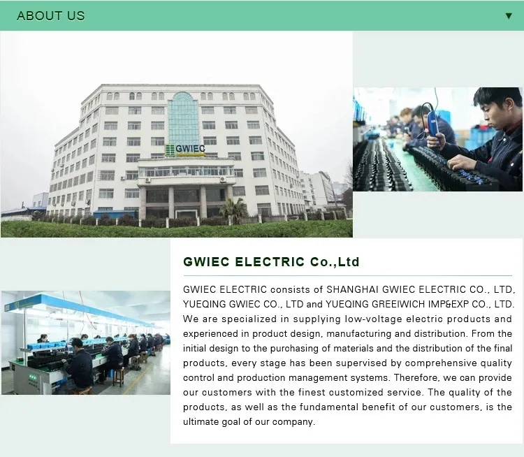 Gwiec Dol Starter Le1-D80 Pump Starter