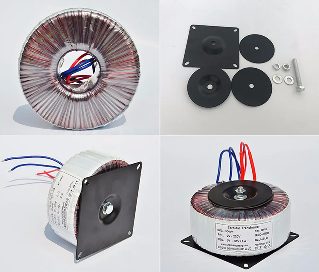 High Efficency 240V 12V Toroidal Transformer