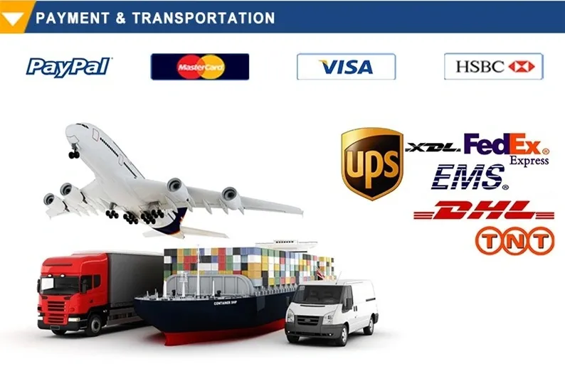 High Quality Power Supply 12V 5W High Frequency Eel19 PCB Mounting Flyback Transformer for Mobile Phone Parts