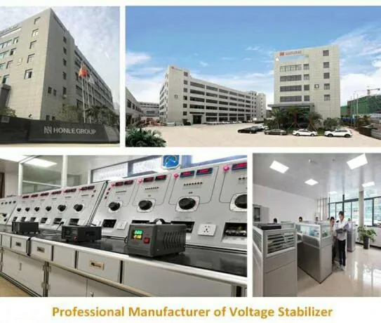 Honle SVC 8000va Single-Phase Full Automatic Voltage Stabilizer