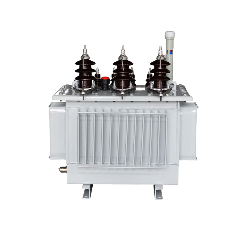 Oil-immersed Transformer