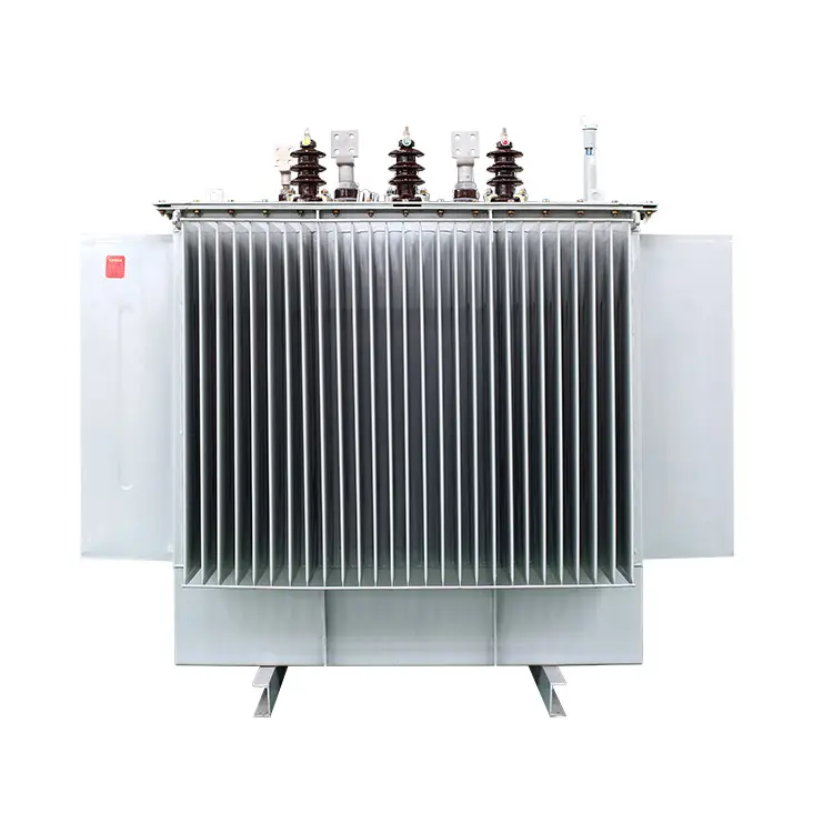 4000 KVA Three Phase Oil Immersed Transformer 