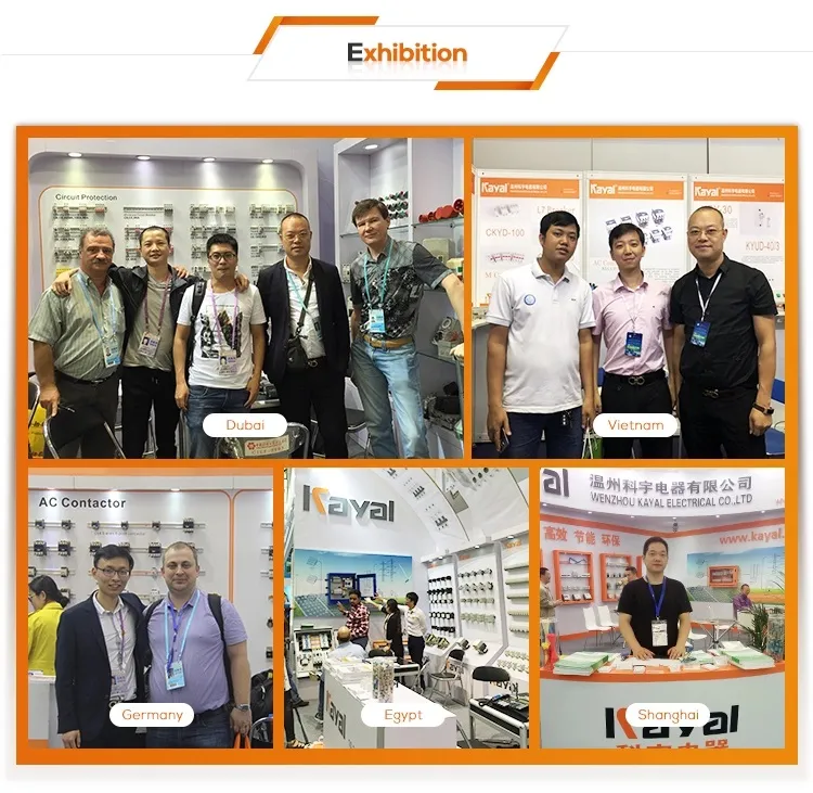 Kayal Brand Cjx2 LC1-D5011 50A 415V AC Contactor with Color Boxes