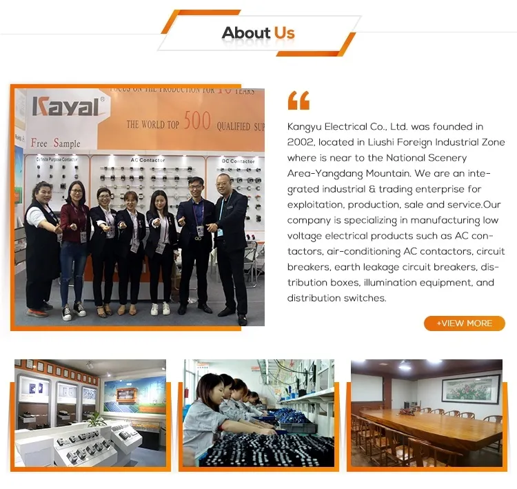 Kayal LC1 Series D1810/D2510/D3210/D40/D4011/D50/D5011/D65/D6511/D80/D8011/D09 01/LC1 D09 10/D12 10 Telemecanique Contactor