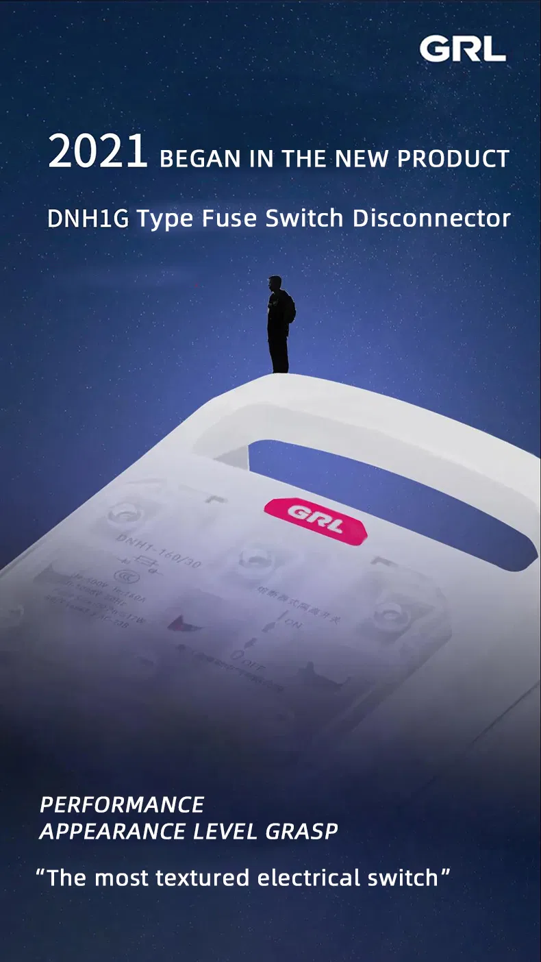 Nh Disconnect Switch Dnh1 3p Nh Fuse Holder Nh00 Nh0 Nh1 Nh2 Nh3 Nh Fuse Switch Disconnector