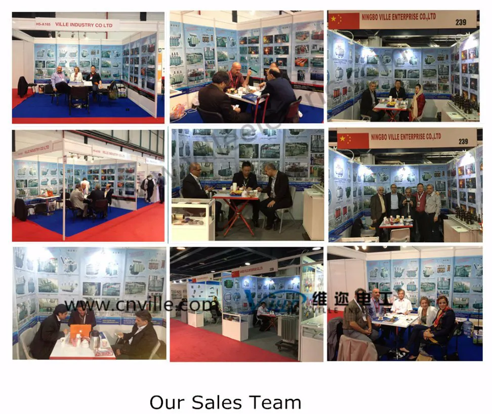 Sz-31500/69/6.3 31.5mva 66kv Double-Winding Power Transformers with on-Load Tap Changer